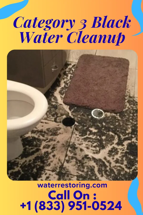 Category 3 Black Water Cleanup in Hokendauqua, PA