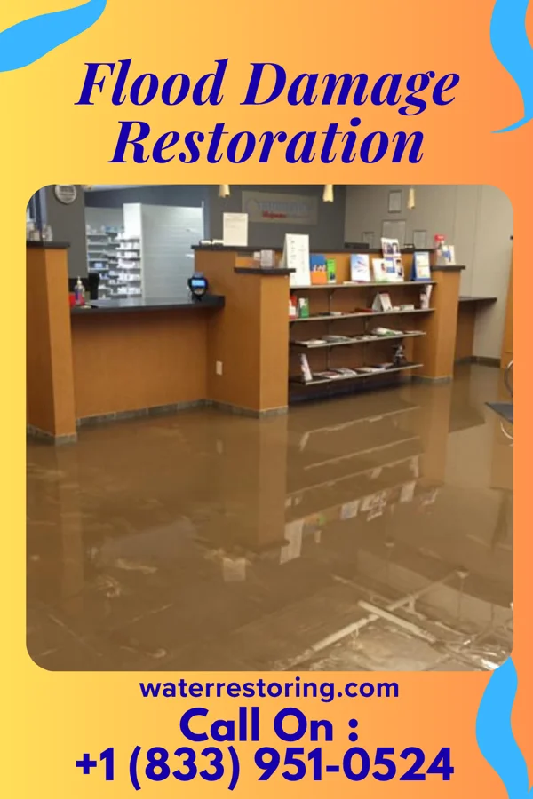 Flood Damage Restoration in Hokendauqua, PA