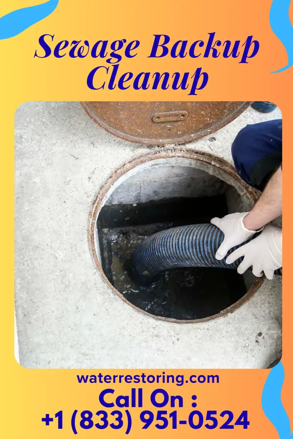 Sewage Backup Cleanup in Hokendauqua, PA