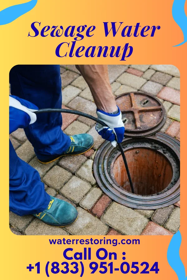 Sewage Water Cleanup in Hokendauqua, PA