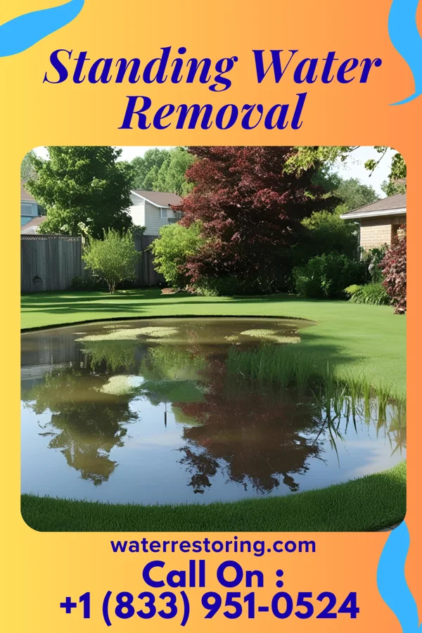 Standing Water Removal in Hokendauqua, PA